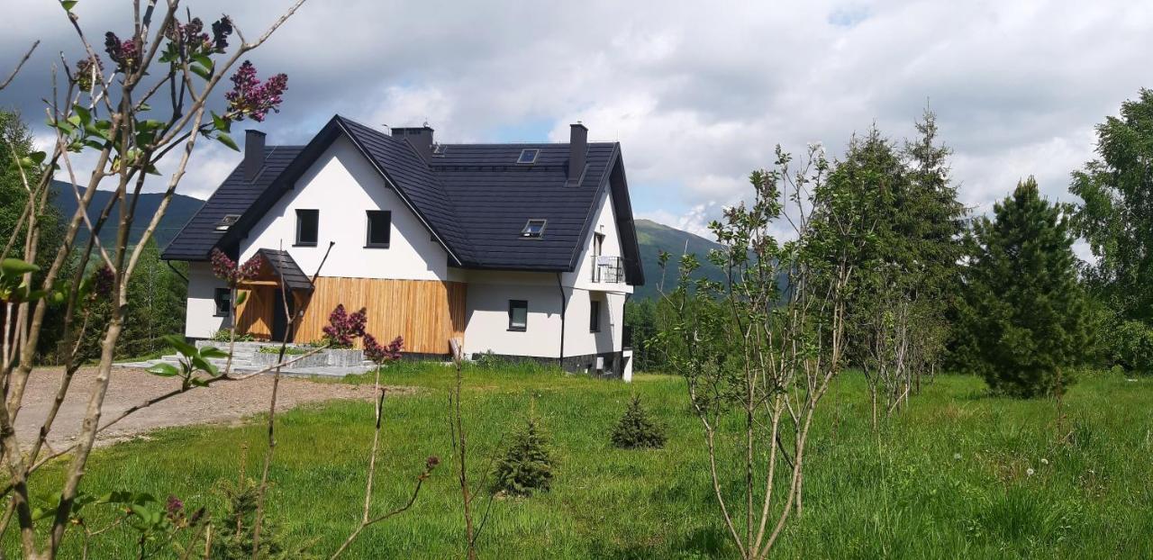 Pod Wielka Zalesiona Gora Wetlina Luaran gambar